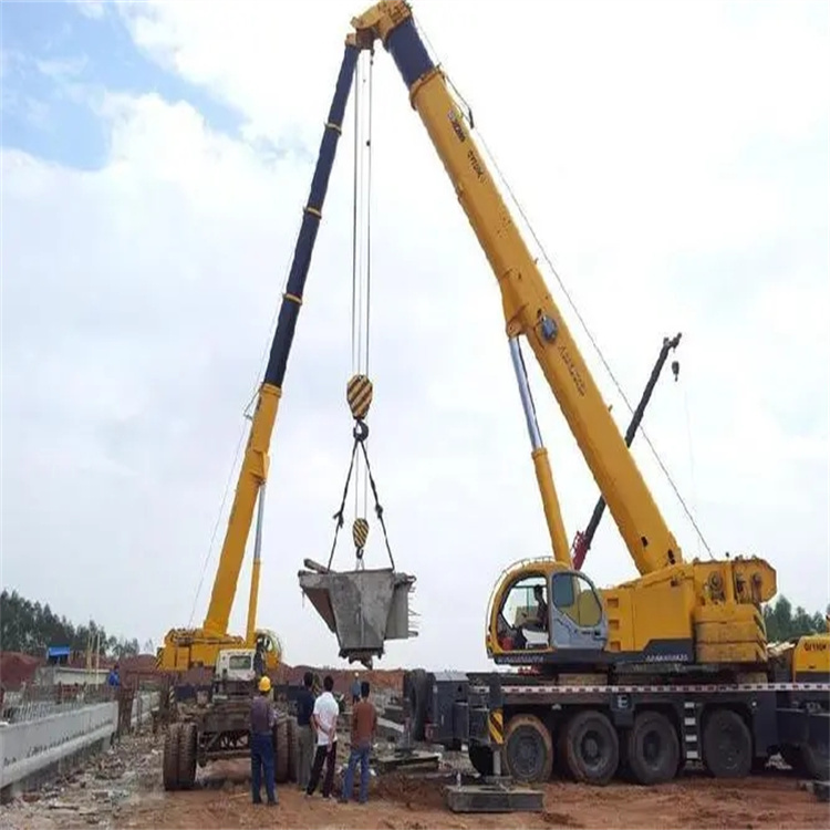 天安乡小型吊机出租电话|厂房设备吊装方案|24小时服务覆盖